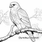 Watchful Hawks: Realistic Bird Coloring Pages 3