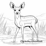 Water Deer: Nature’s Fanged Wonder Coloring Pages 2