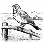 Western Meadowlark at Sunset Coloring Images 1