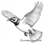 Western Meadowlark in Flight Coloring Sheet 1