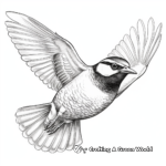 Western Meadowlark in Flight Coloring Sheet 3