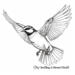 Western Meadowlark in Flight Coloring Sheet 4