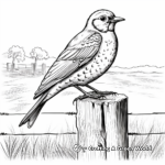 Western Meadowlark Playing in a Field: Children’s Coloring Page 1