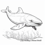 Whale Deep Diving Adaptation Coloring Pages 1