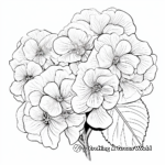 White Hydrangea Coloring Pages for Adults 1