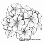 White Hydrangea Coloring Pages for Adults 4