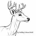 White Tailed Deer Profile View Coloring Page 3