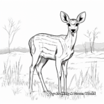 White Tailed Deer's Savanna Habitat Coloring Page 1