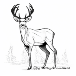 Whitetail Deer Antler Coloring Pages in Winter Setting 1