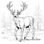 Whitetail Deer Antler Coloring Pages in Winter Setting 2
