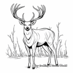 Whitetail Deer Antler Coloring Pages in Winter Setting 3