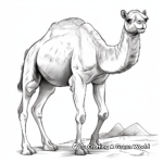 Wild Arabian Camel Coloring Pages 3