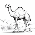 Wild Arabian Camel Coloring Pages 4