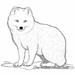 Wild Arctic Fox Chasing Prey Coloring Pages 1