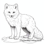 Wild Arctic Fox Chasing Prey Coloring Pages 4