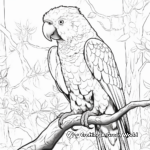 Wild Parrot Jungle Scene Coloring Pages 4