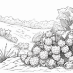 Wild Raspberry Bush Coloring Pages 4