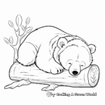 Wild Sleeping Brown Bear Coloring Pages 2