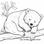 Wild Sleeping Brown Bear Coloring Pages 4
