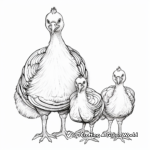 Wild Turkey Family Coloring Pages: Male, Female and Baby 1