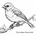 Wildlife Sparrow Coloring Pages for Adults 1