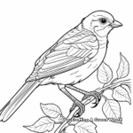 Wildlife Sparrow Coloring Pages for Adults 2