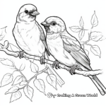 Wildlife Sparrow Coloring Pages for Adults 3