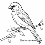 Wildlife Sparrow Coloring Pages for Adults 4