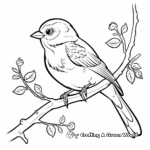 Winter Oriole Coloring Page 2