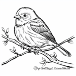 Winter Oriole Coloring Page 3