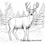 Winter Scene: Mule Deer in the Snow Coloring Pages 2