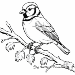 Winter's Blue Jay Brilliance Coloring Pages 2