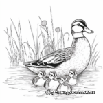 Wood Duck Family Coloring Pages: Male, Female, and Ducklings 2