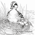 Wood Duck Nesting: Detailed Coloring Page 1