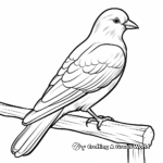 Wood Pigeon Coloring Pages for Kids 3