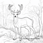 Woodland Wildlife: Big Buck and Squirrel Friends Coloring Pages 2