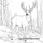 Woodland Wildlife: Big Buck and Squirrel Friends Coloring Pages 3