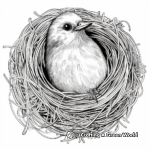 Oriole Nest Coloring Page 1