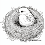 Oriole Nest Coloring Page 2