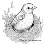 Woven Oriole Nest Coloring Page 3