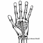 X-ray Themed Skeleton Hand Coloring Pages 1
