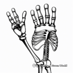 X-ray Themed Skeleton Hand Coloring Pages 2