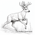 Young Buck Leaping Coloring Pages 1