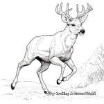Young Buck Leaping Coloring Pages 3