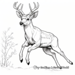 Young Buck Leaping Coloring Pages 4