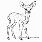 Young Fawn Coloring Pages for Children 2