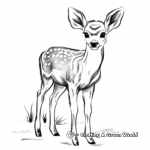 Young Fawn Coloring Pages for Children 4