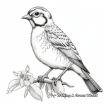 Young Western Meadowlark Coloring Pages 2