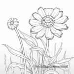 Zinnia in the Wild: Meadow-Scene Coloring Pages 4