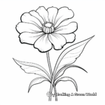 Zinnia Variety Coloring Pages: Different Types of Zinnias 4